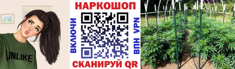 Купить закладку Галлюциногенные грибы  Каннабис  A-PVP  ГАШ  МЕФ  КОКАИН  Болотное