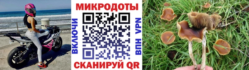 Псилоцибиновые грибы мухоморы  Купить  Болотное 